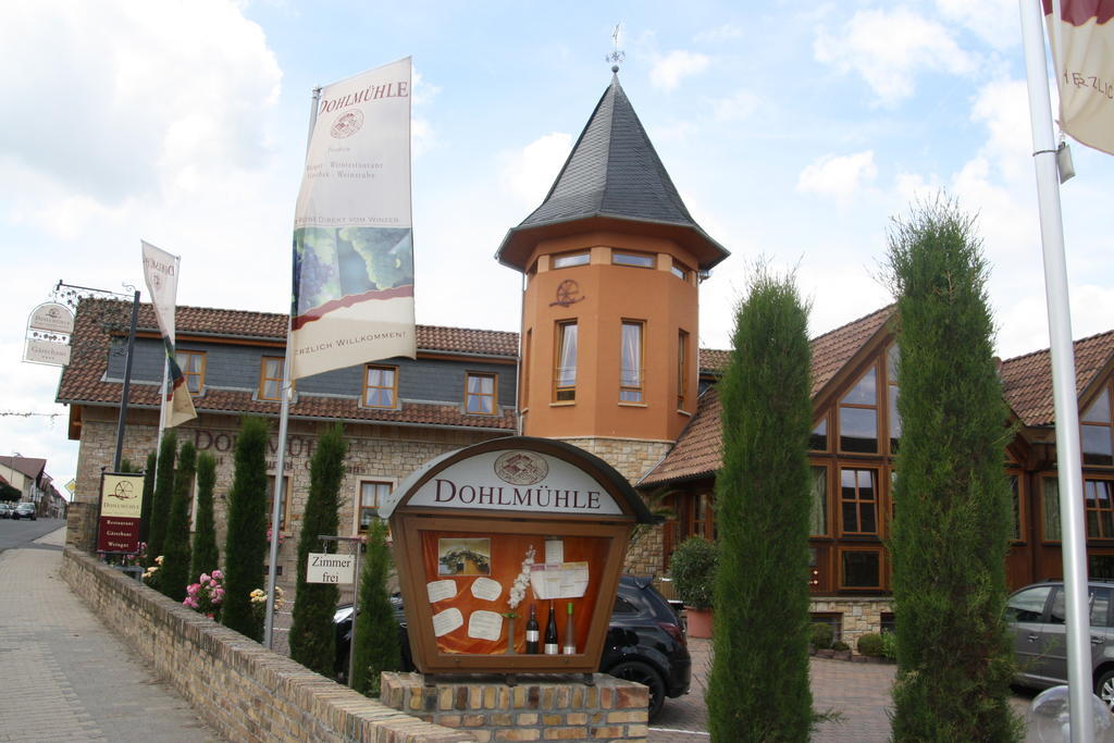 Dohlmuhle Gastehaus & Weingut Hotel Flonheim Exterior photo