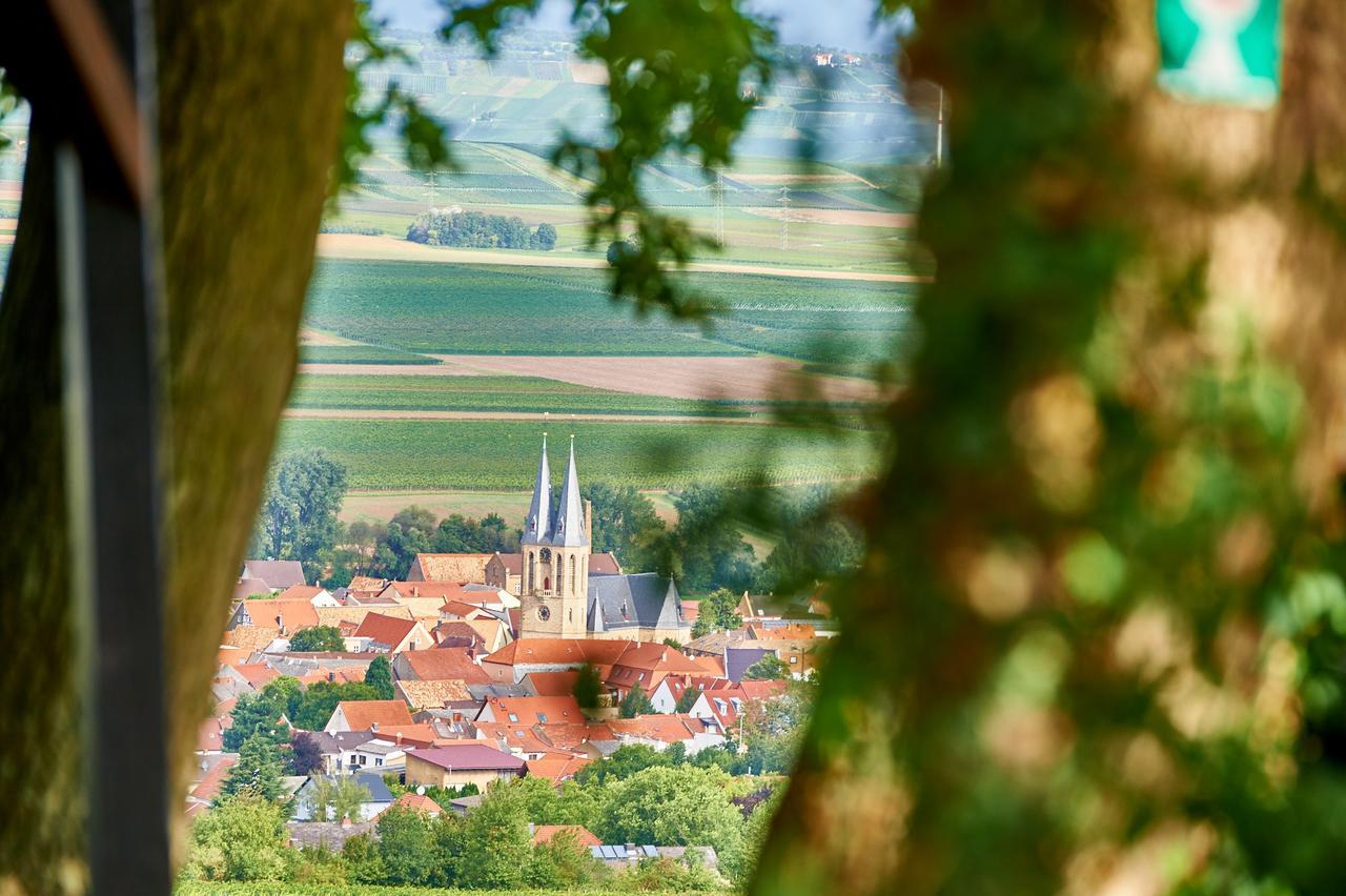 Dohlmuhle Gastehaus & Weingut Hotel Flonheim Exterior photo