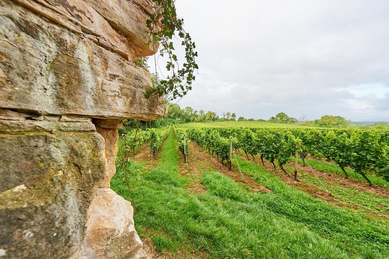 Dohlmuhle Gastehaus & Weingut Hotel Flonheim Exterior photo